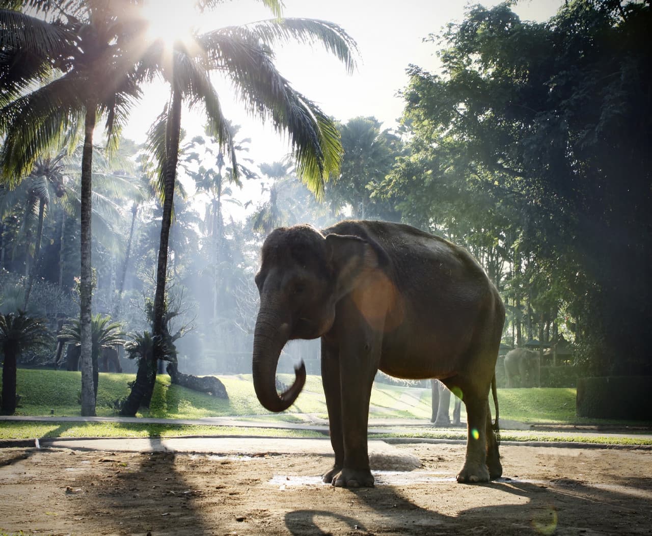 Mason Elephant Park Bali by Mason Adventures (Formerly known as Elephant Safari Park) - تصویر 7