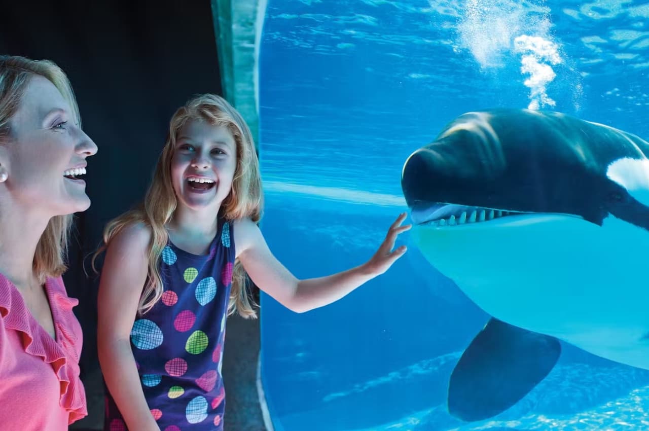 SeaWorld San Diego Ticket: Direct Entry - تصویر 11
