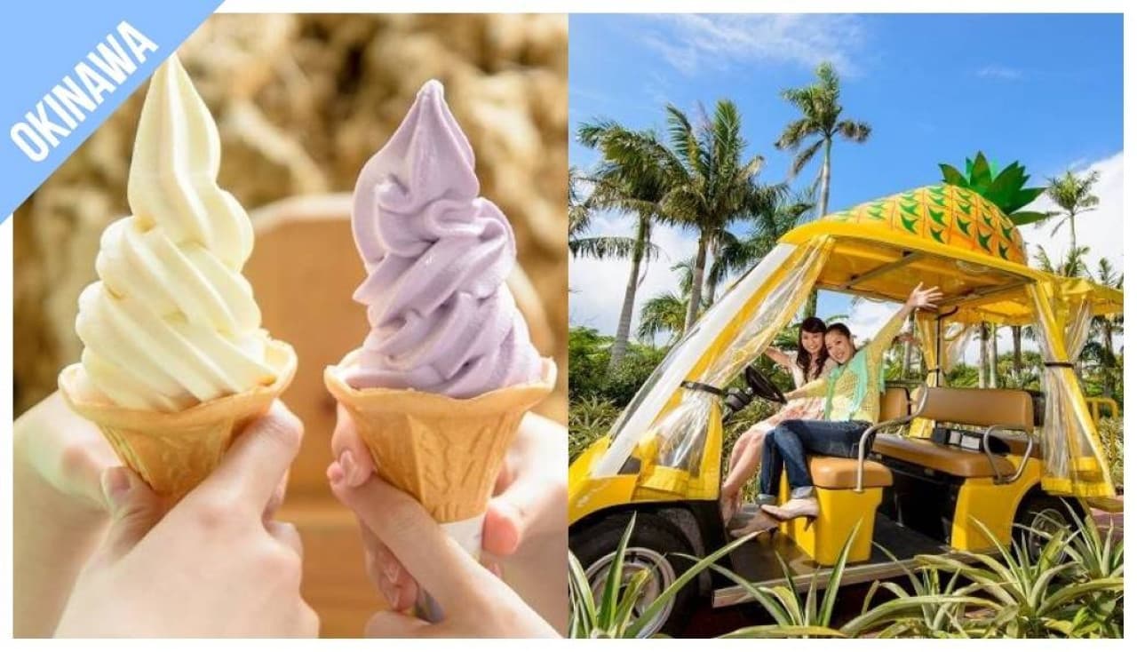 Have Fun in Okinawa Pass - 1 Week Free Pass - تصویر 3