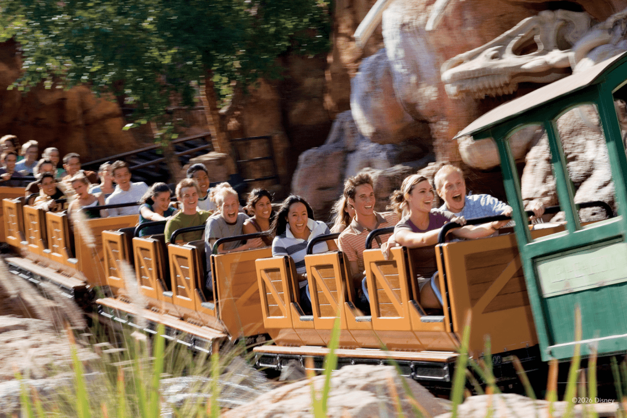 Disneyland Park and Disney California Adventure Park Ticket - تصویر 13