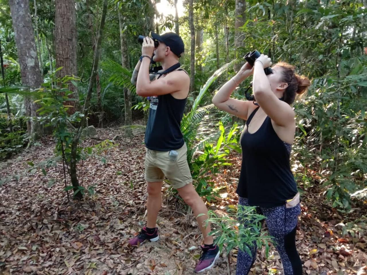 Langkawi Birdwatching Experience Tour - Half Day - تصویر 4