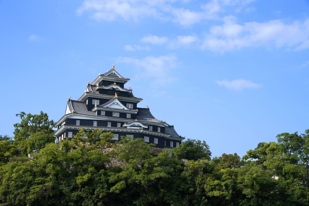 Okayama Castle Ticket - تصویر اصلی
