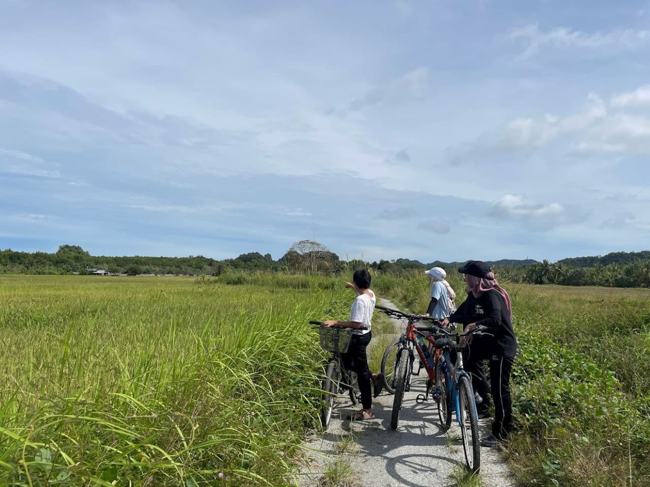 Langkawi Countryside Biking Tour - تصویر 3
