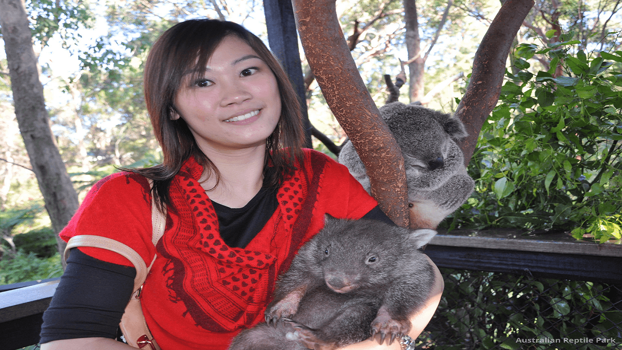 Australian Reptile Park - تصویر 49