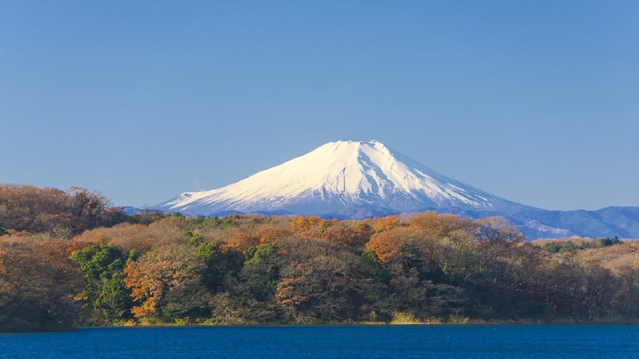 Mount Fuji and Hakone Tour - تصویر 2