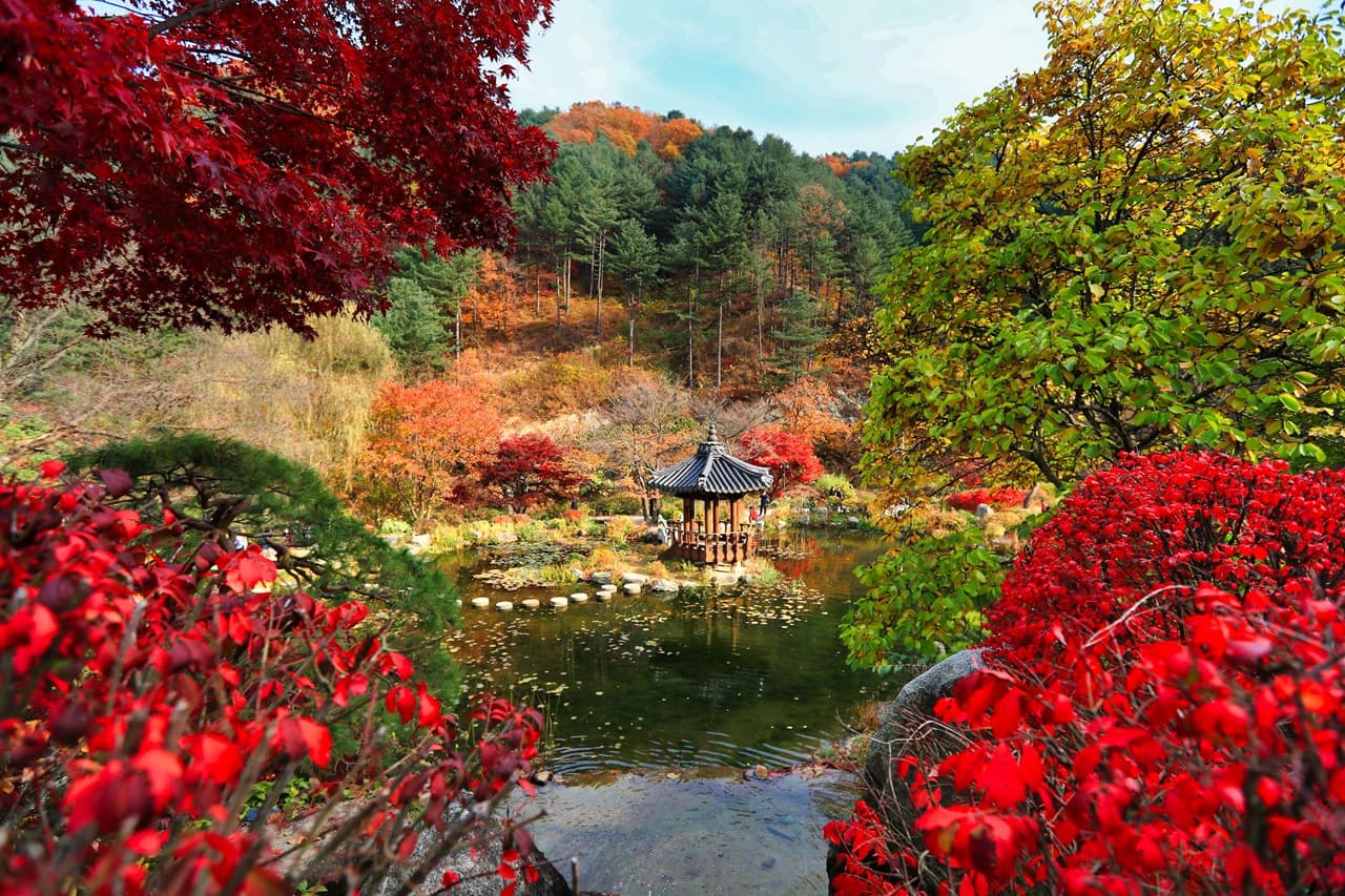 Nami Island, Mount Seorak, and Garden of Morning Calm Full-Day Tour from Seoul - تصویر اصلی