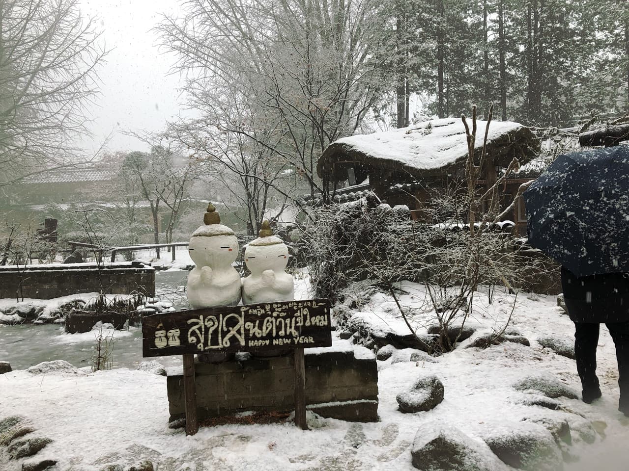 Nami Island and Mount Seorak Full-Day Tour from Seoul - تصویر 10
