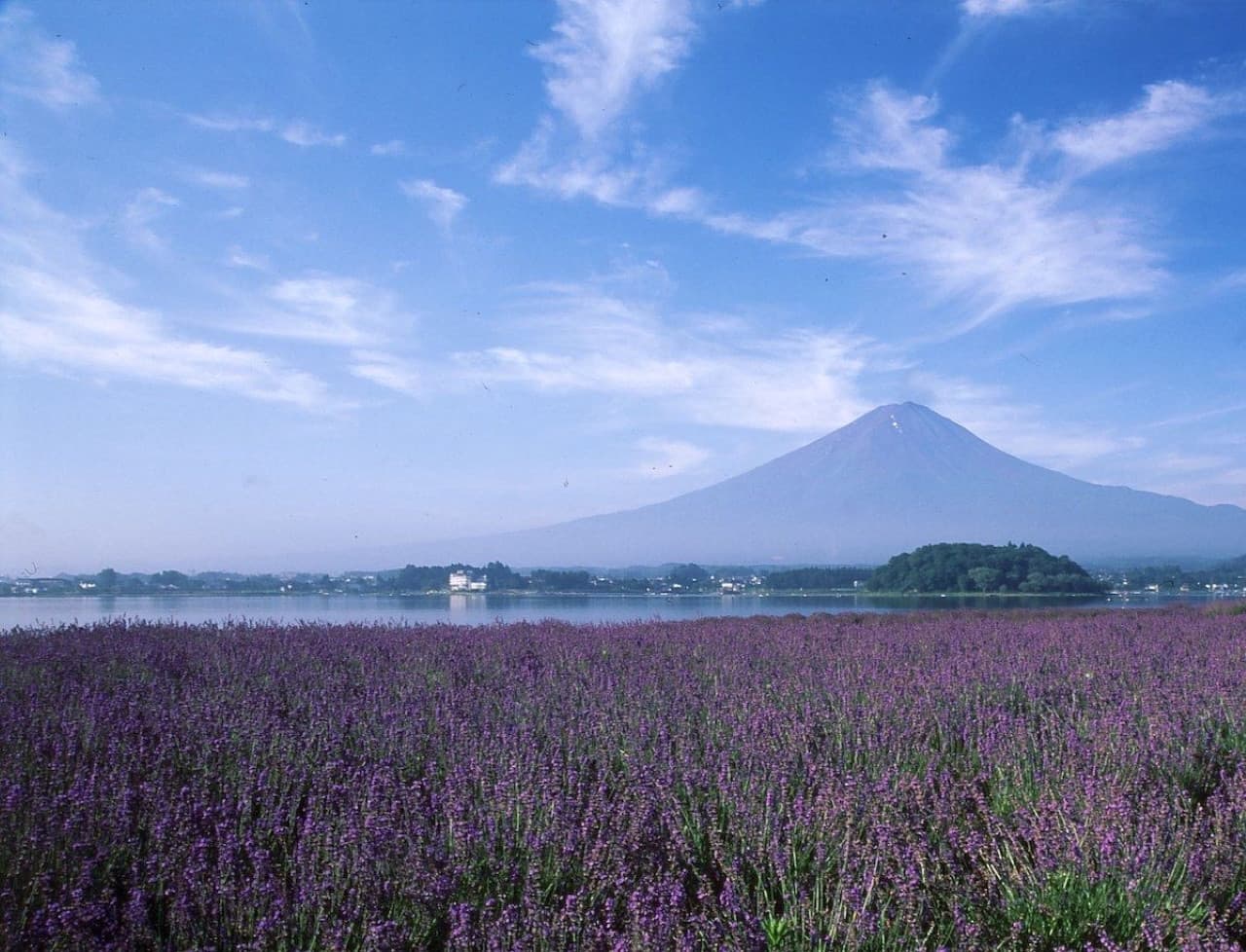 Fuji Hakone Pass - تصویر اصلی