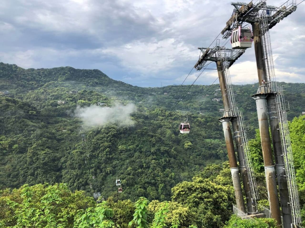 Pinglin Tea Culture and Maokong Full-Day Tour from Taipei - تصویر 3