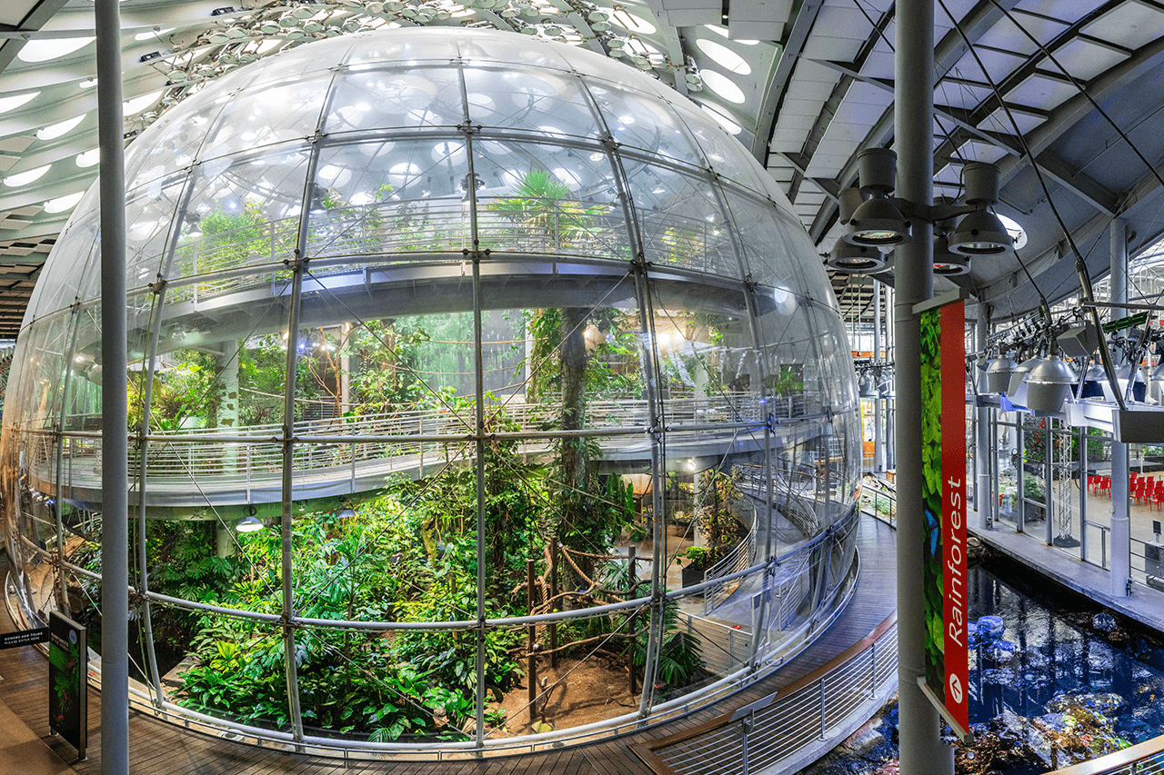 California Academy of Sciences Ticket - تصویر 4