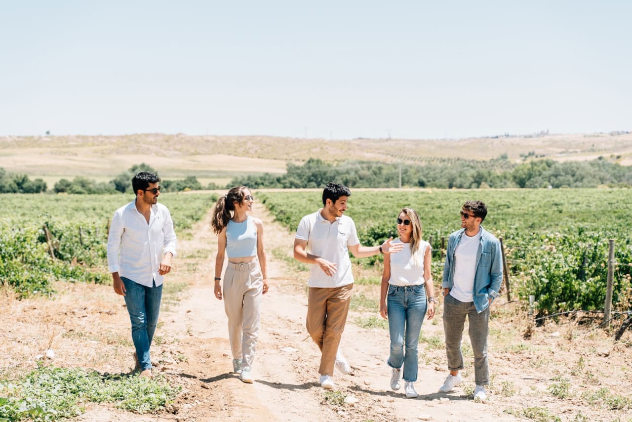 Toledo City Tour from Madrid with Wine Tasting Experience - تصویر 6