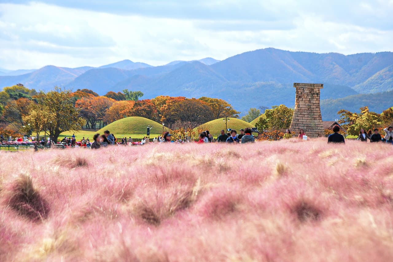 Gyeongju Autumn Foliage One Day Tour from Busan - تصویر 8