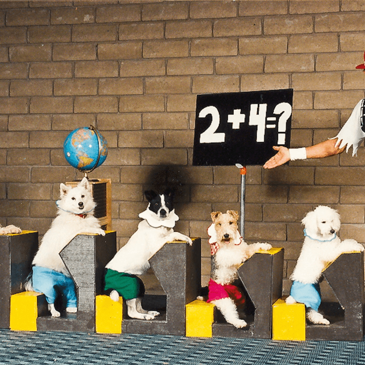 V Theatre Las Vegas - Popovich Comedy Pet Theatre - تصویر 5