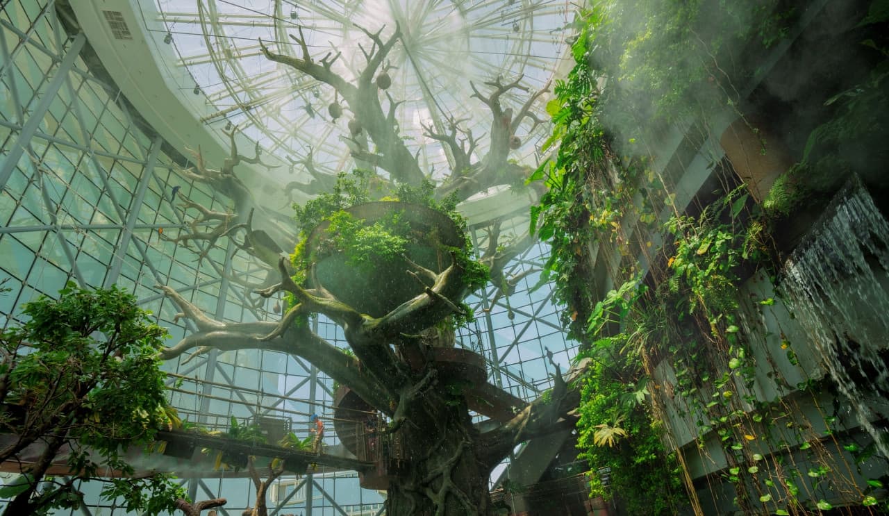 The Green Planet Dubai Ticket - تصویر 11