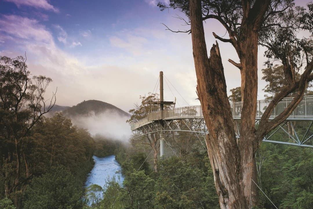 Huon Valley Tour - تصویر 5