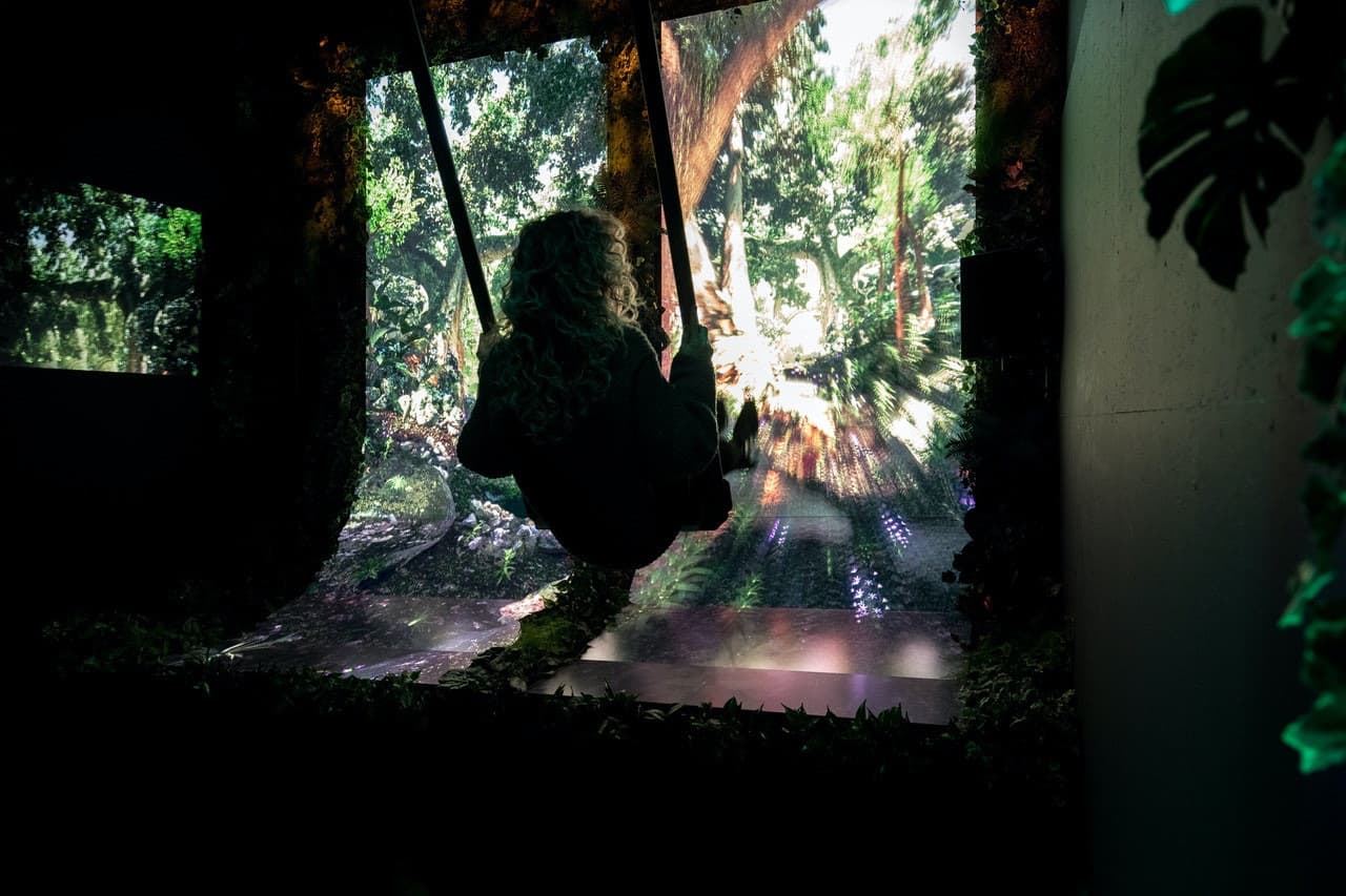 AMAZE: The Immersive Experience - تصویر 8