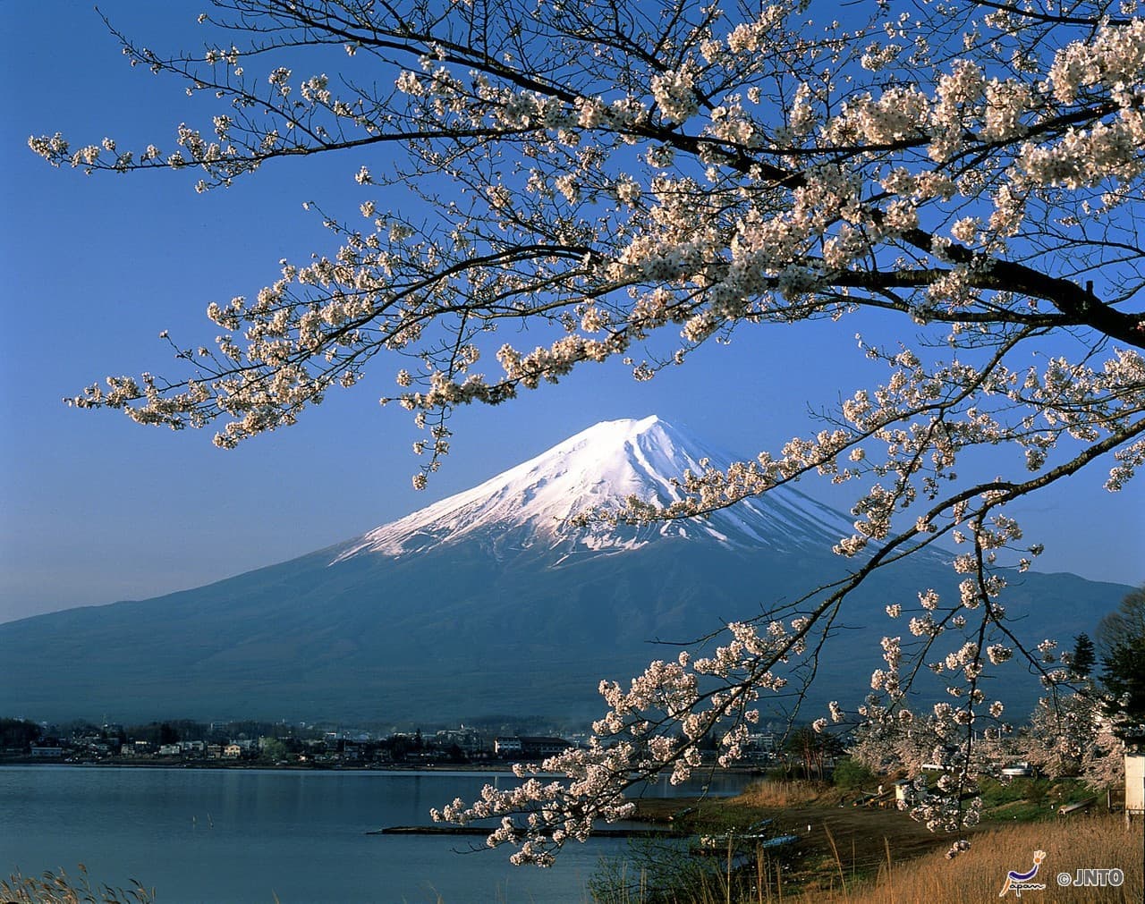 Mount Fuji and Oshino Hakkai Ole Hot Spring Full-Day Tour from Tokyo - تصویر 2