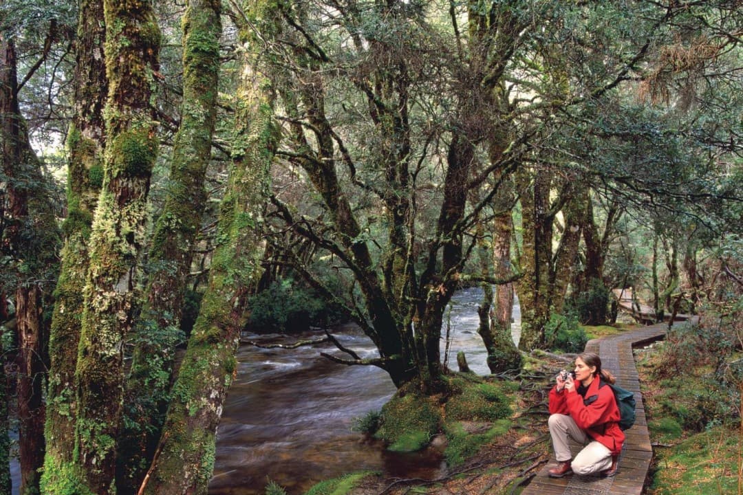 Cradle Mountain National Park - تصویر 6