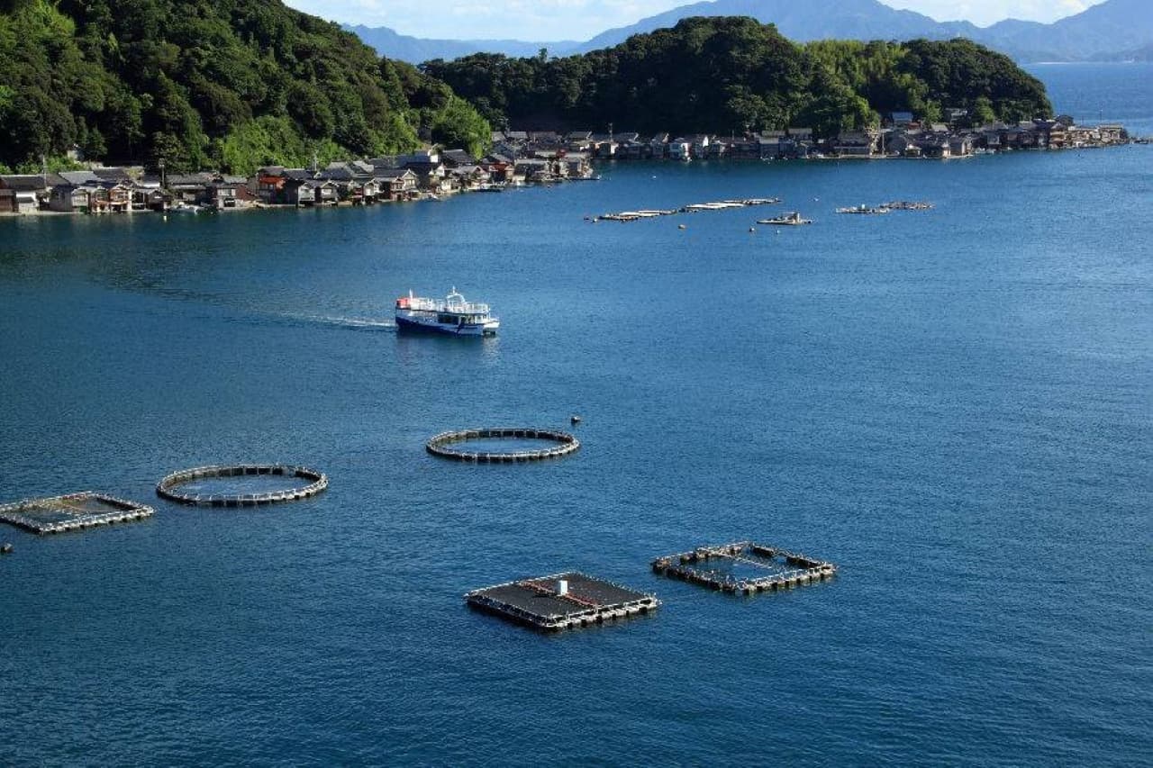 JR Kansai WIDE Area Pass - تصویر 9