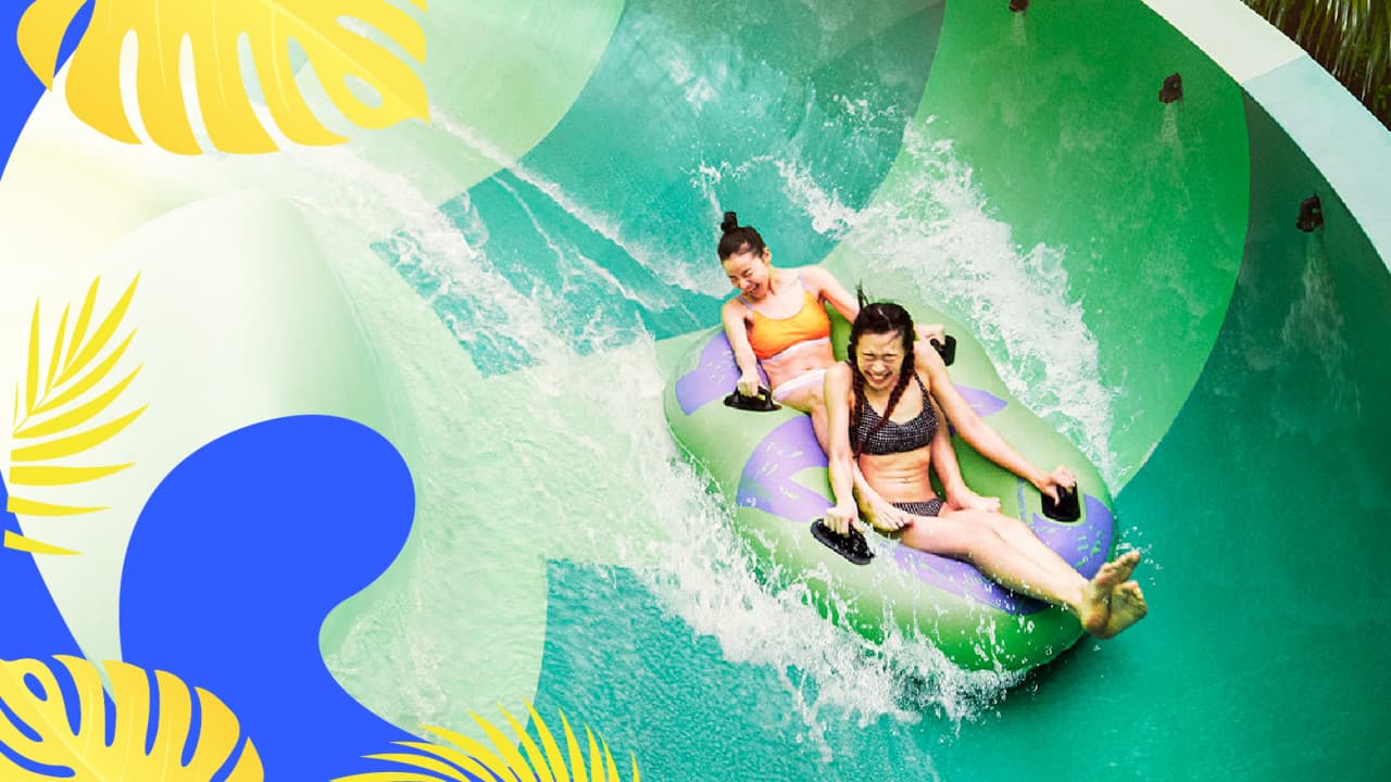 COMBO: Universal Studios Singapore + Adventure Cove Waterpark Tickets - تصویر 4