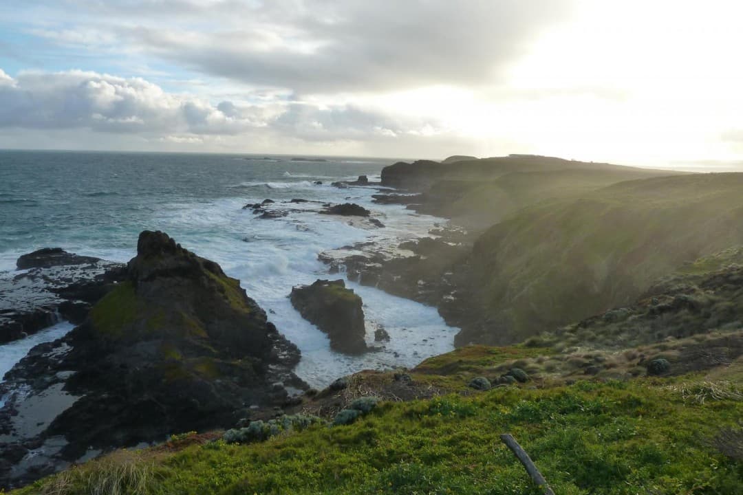 Phillip Island with Penguin Parade Eco Tour - تصویر 12