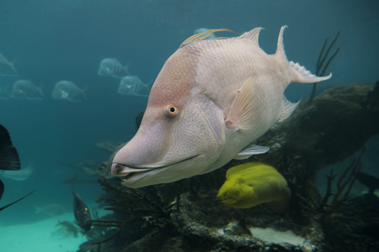 New York Aquarium - تصویر 2