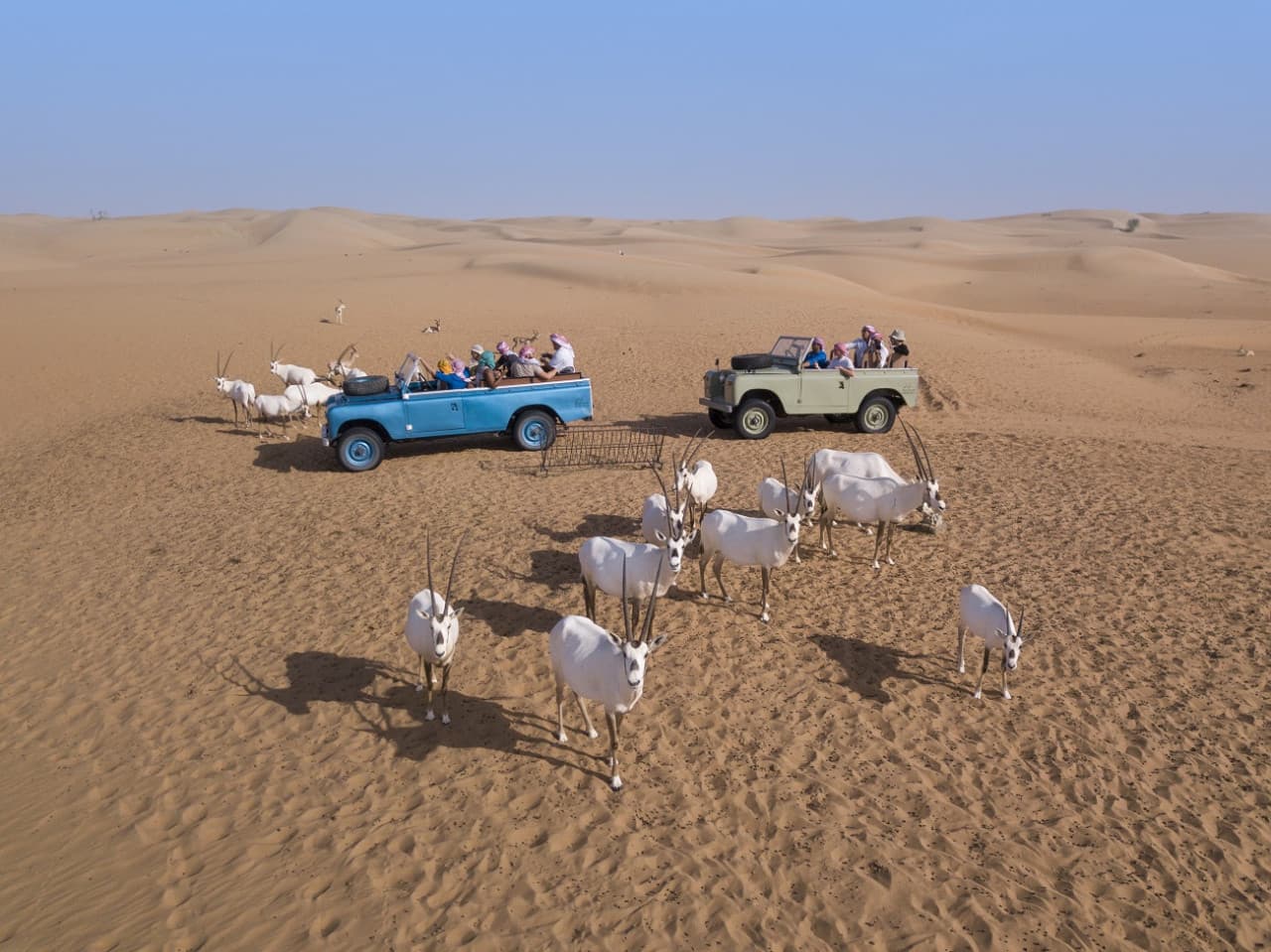 Heritage Dubai Desert Safari - تصویر اصلی