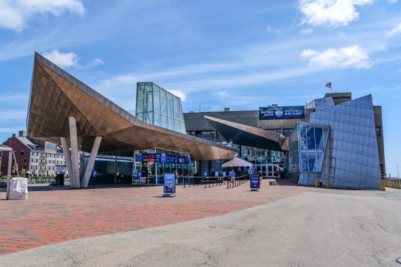 New England Aquarium Ticket - تصویر اصلی