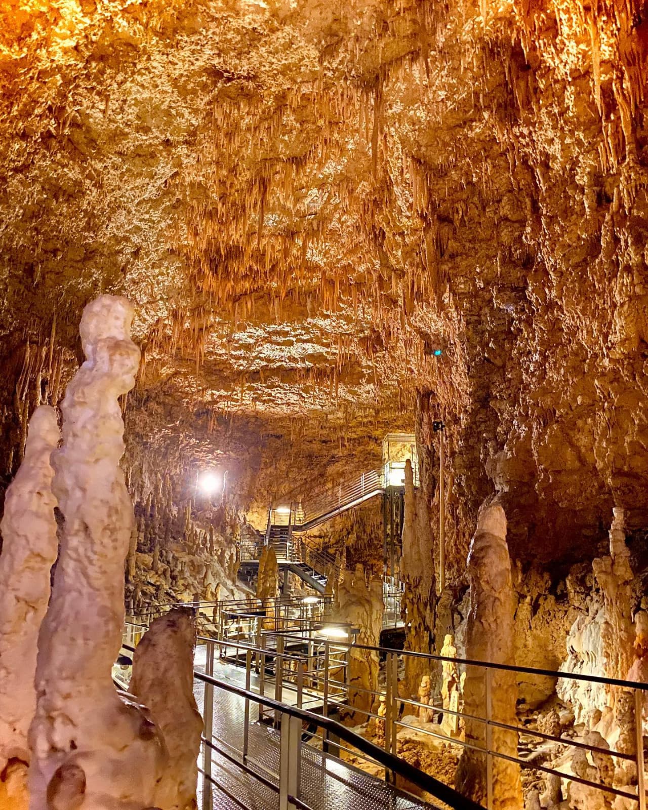 Okinawa World Pass - تصویر 10