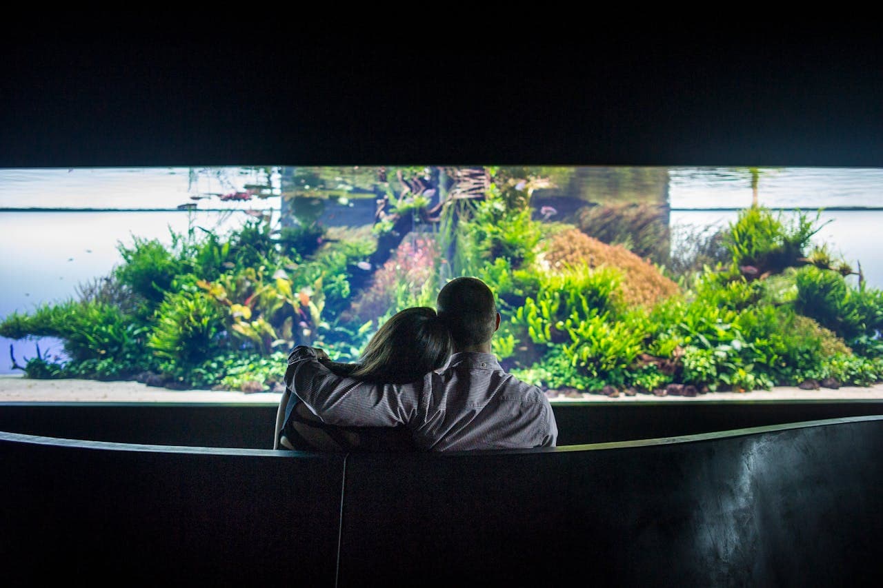 Oceanário de Lisboa Ticket - تصویر 6
