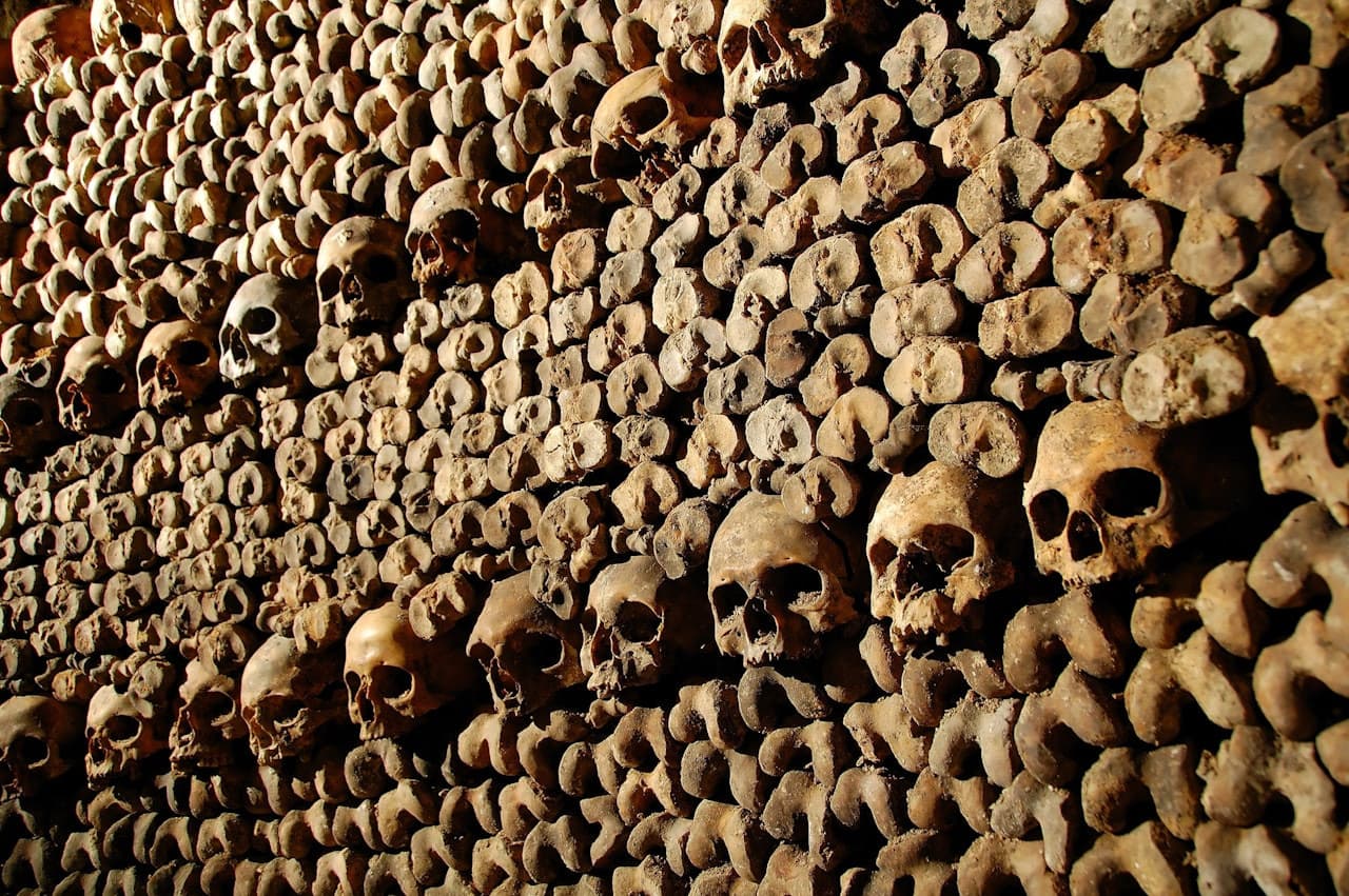 The Paris Catacombs - Skip-the-line with Audio Guide - تصویر 4