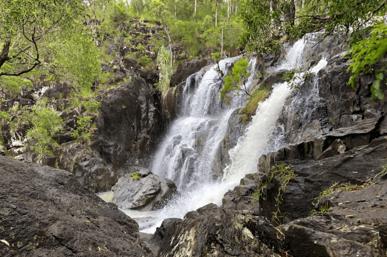 Cedar Creek Falls Tour - تصویر 4