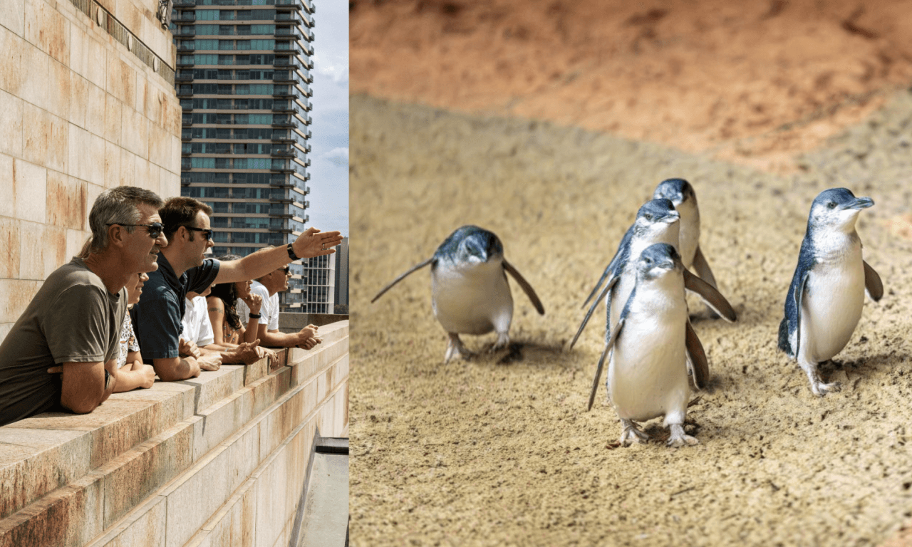 Melbourne City Discovery Tour with Penguin Parade - تصویر 16