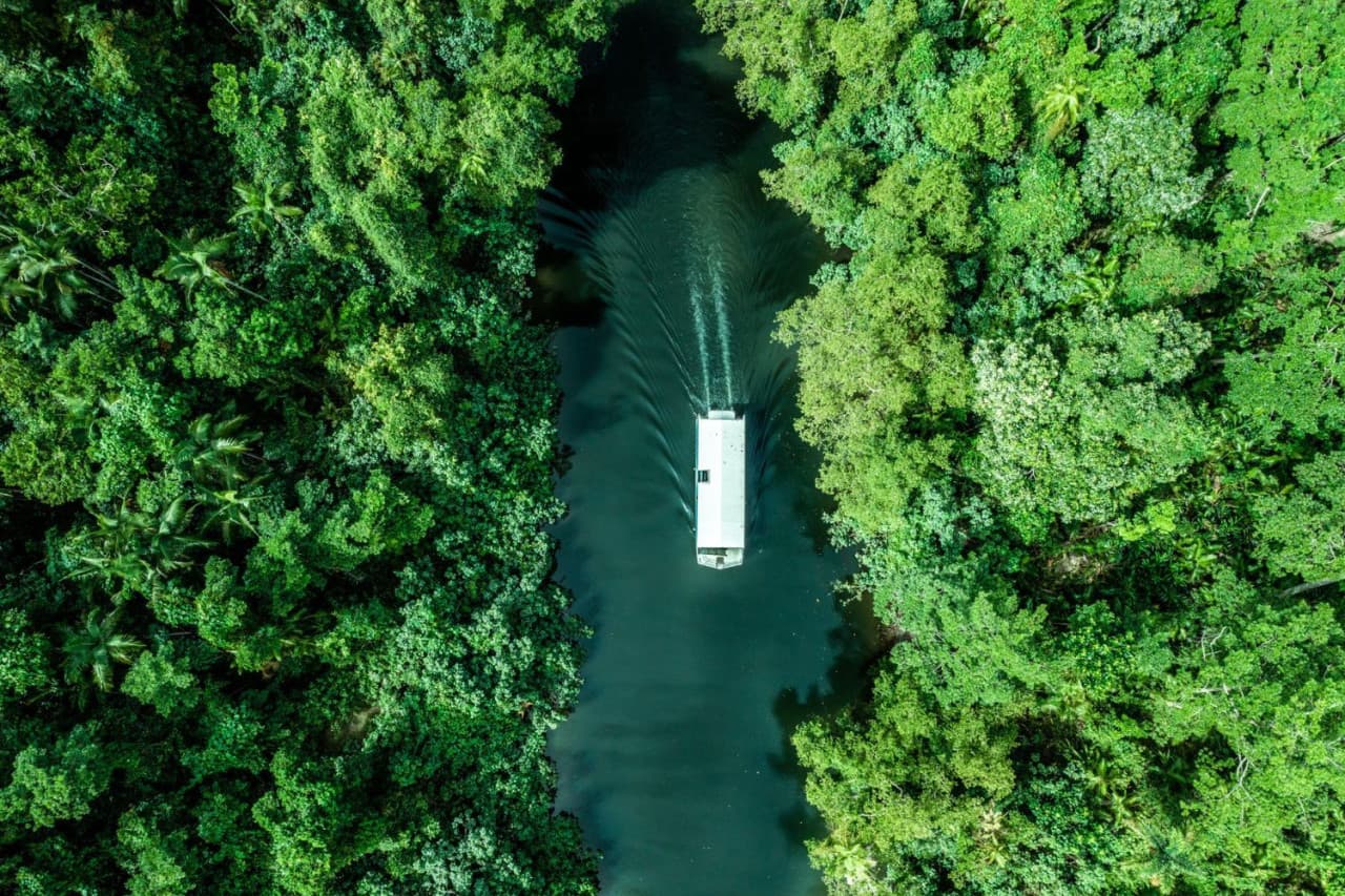 Daintree, Mossman Gorge, and Wildlife Habitat Port Douglas Full-Day Tour - تصویر 2