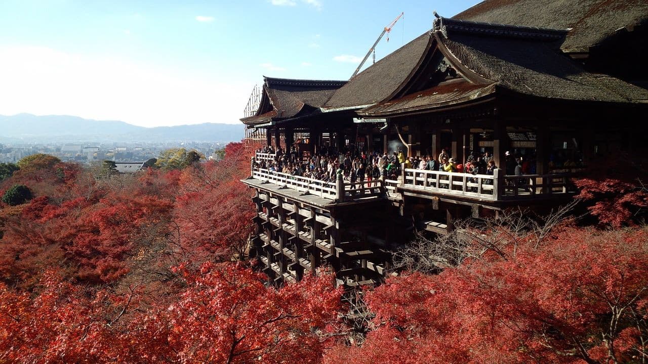 Kyoto Full-Day Tour: Nijo Castle, Kinkaku-ji,  Fushimi Inari Taisha, Kiyomizu-dera Temple - تصویر 6