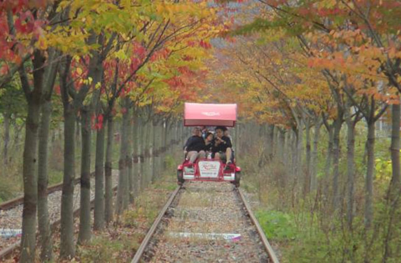 Nami Island, Petite France, Garden of Morning Calm, and Gangchon Rail Bike Tour from Seoul - تصویر 8