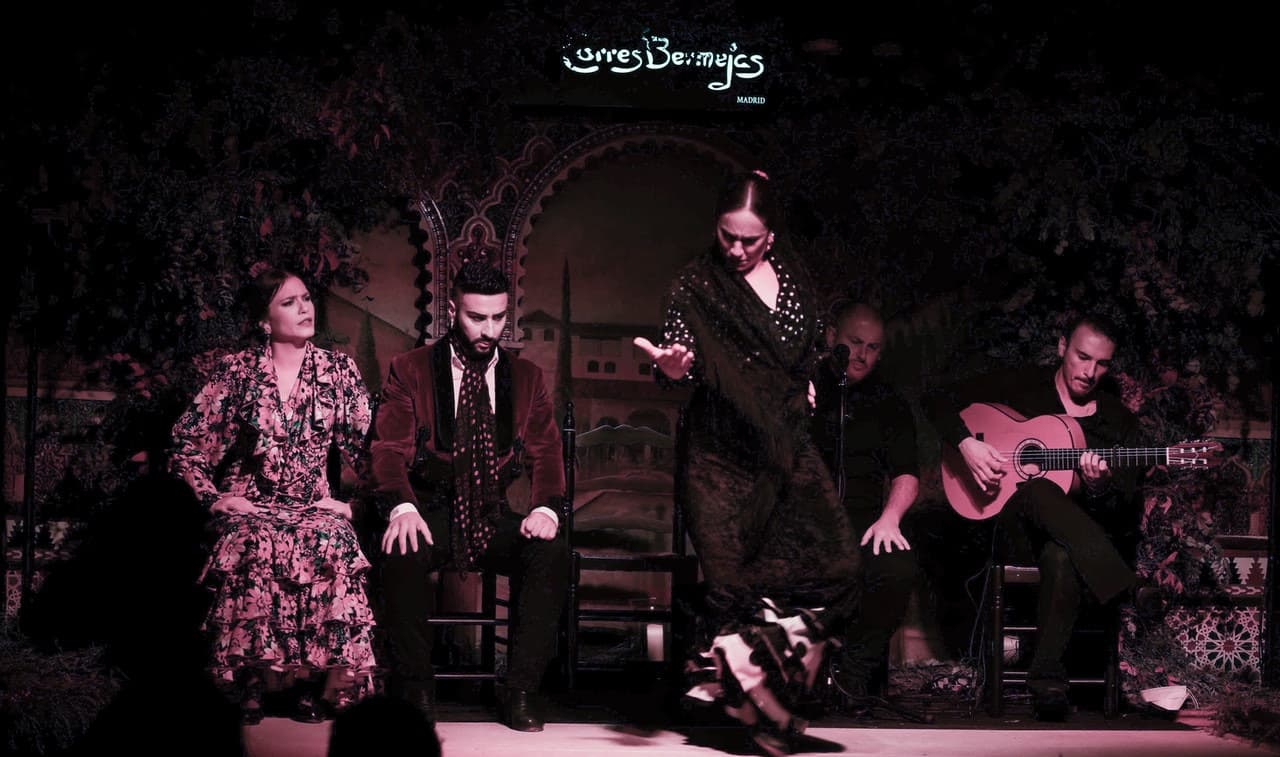 Flamenco Show at Tablao Torres Bermejas - تصویر 3