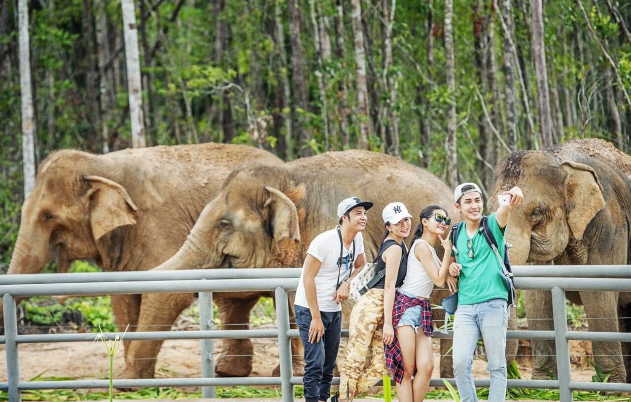 Vinpearl Safari Phu Quoc Ticket - تصویر 11