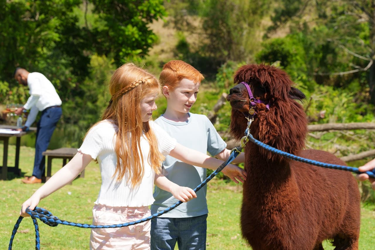 Lamington National Park Tour: O'Reilly's Rainforest Retreat and Canungra Valley Vineyard - تصویر 12