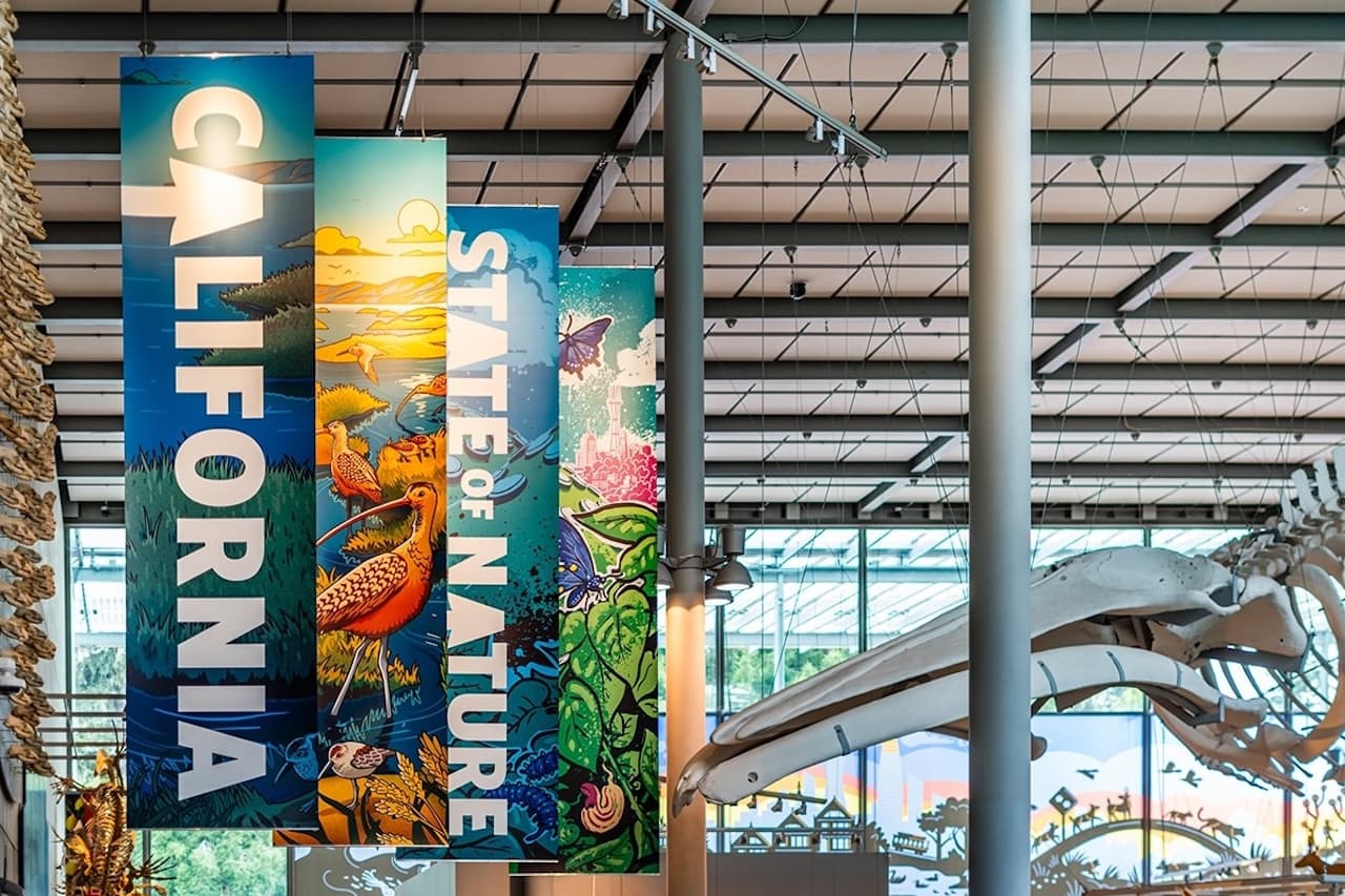 California Academy of Sciences Ticket - تصویر 7