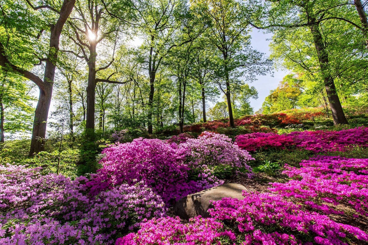New York Botanical Garden Ticket - تصویر 10