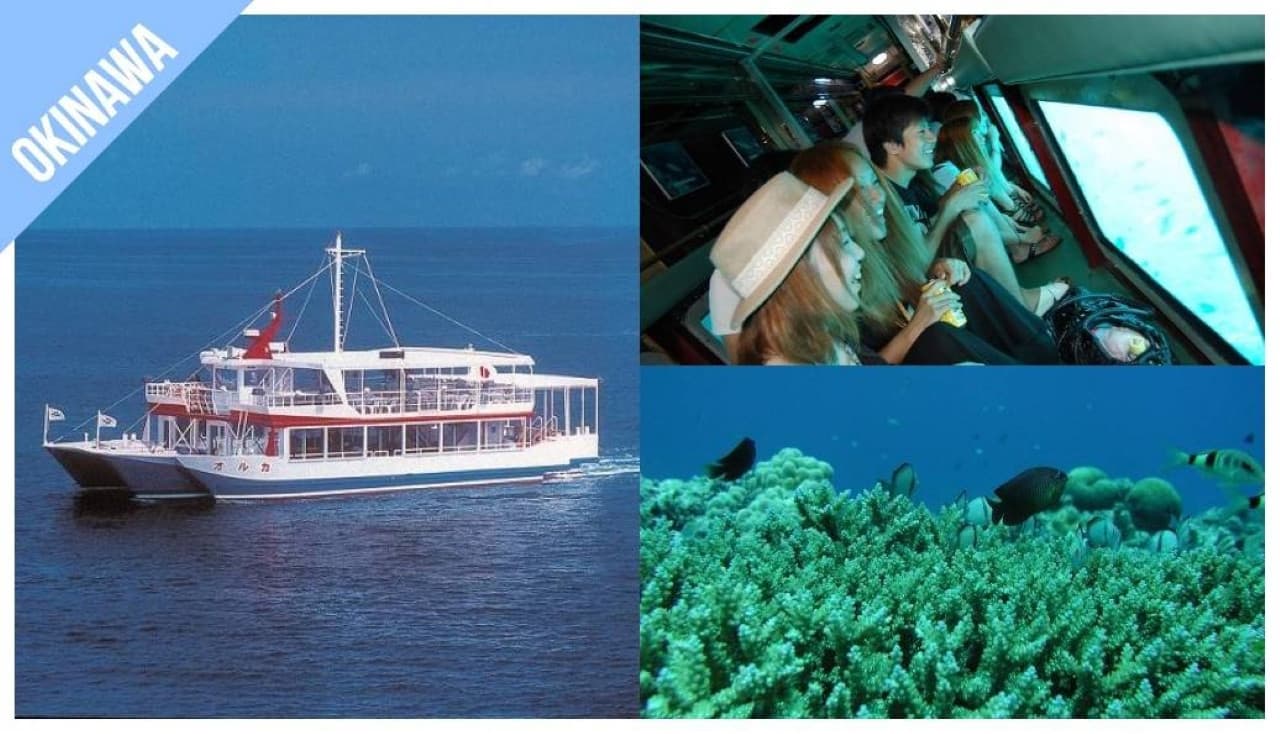 Have Fun in Okinawa Pass - 1 Week Free Pass - تصویر 12