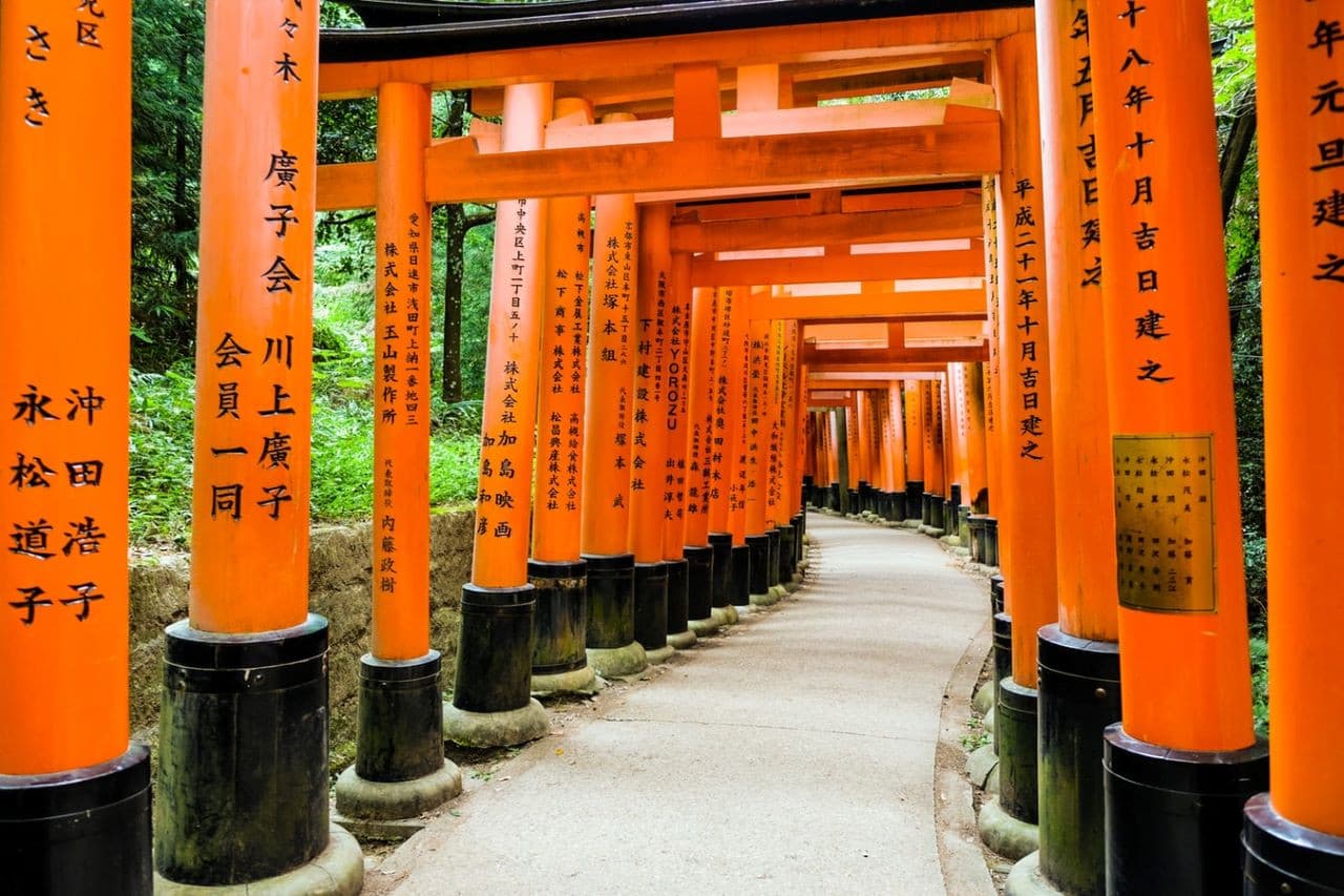 Kyoto Full-Day Tour: Nijo Castle, Kinkaku-ji,  Fushimi Inari Taisha, Kiyomizu-dera Temple - تصویر 10