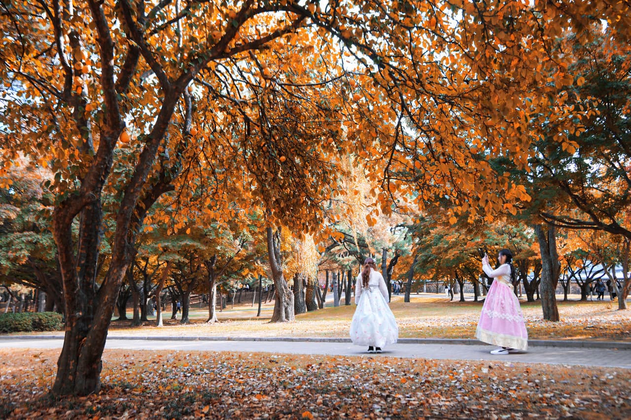 Gyeongju Autumn Foliage One Day Tour from Busan - تصویر اصلی