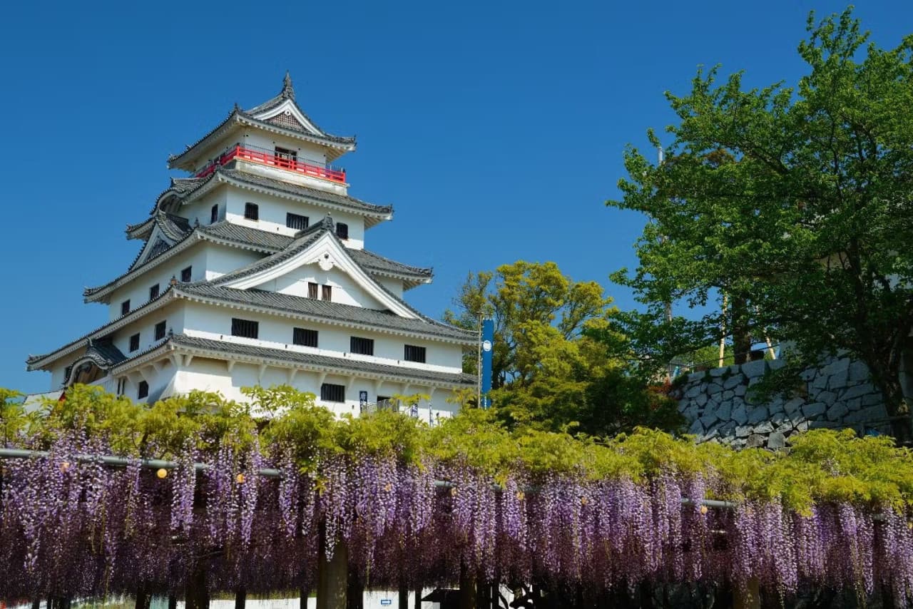 Karatsu Castle Ticket - تصویر اصلی