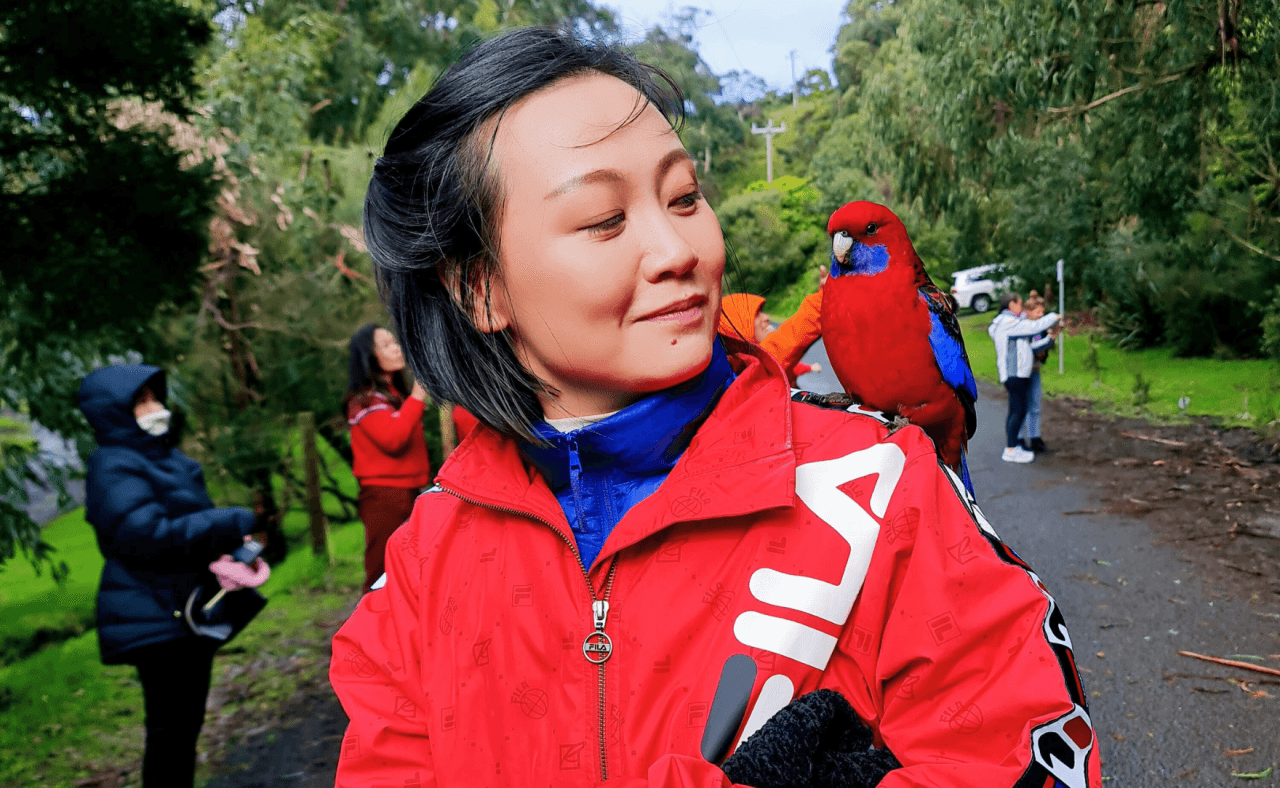 Great Ocean Road Tour from Melbourne - تصویر 16