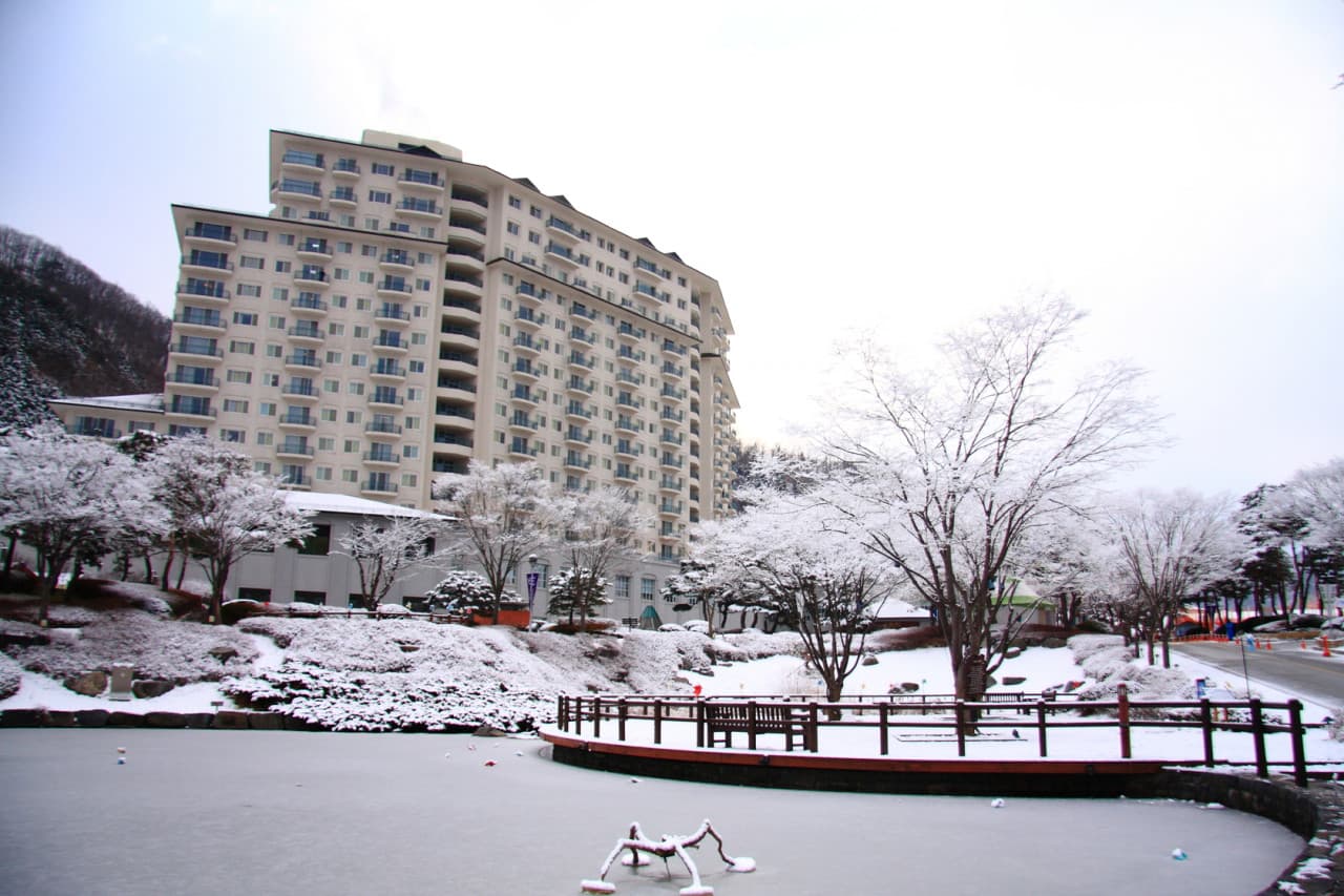 Elysian Gangchon Ski Resort and Eobi Ice Valley Full-Day Tour from Seoul - تصویر 12