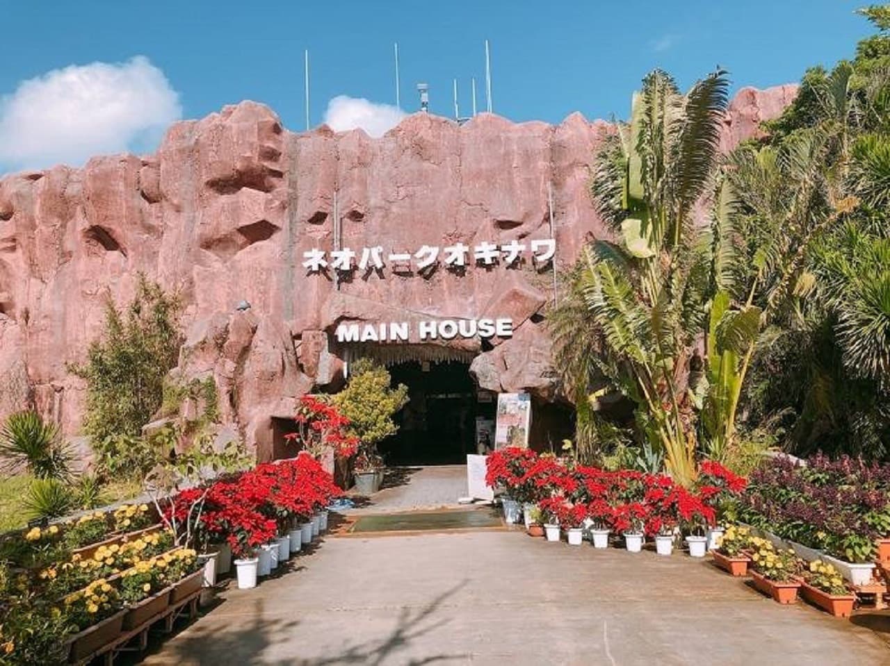 Okinawa Churaumi TokuToku 5 Pass - تصویر 6