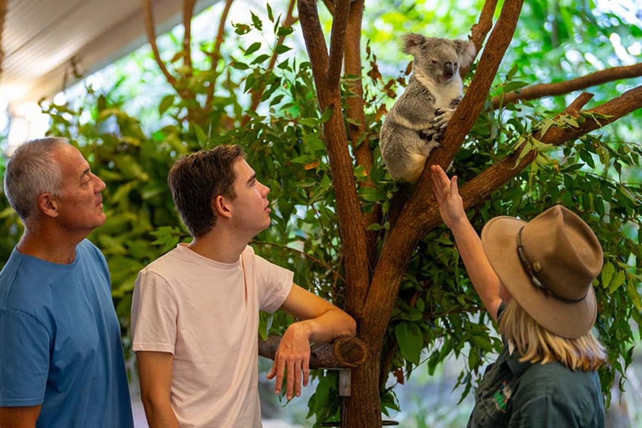 Wildlife Habitat Port Douglas Ticket - تصویر 4
