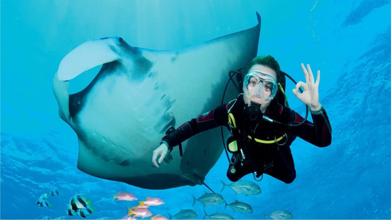 Ultimate Marine Life Experience at Adventure Cove Waterpark - تصویر 3